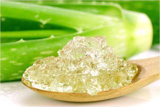 aloevera2